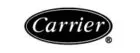 Carrier